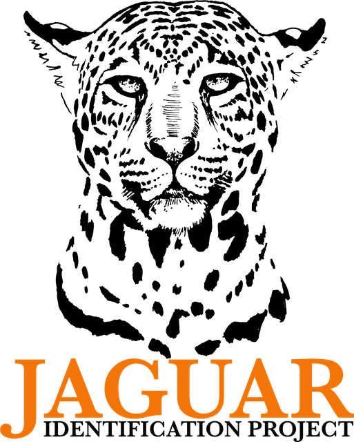 Jaguar Identification Project